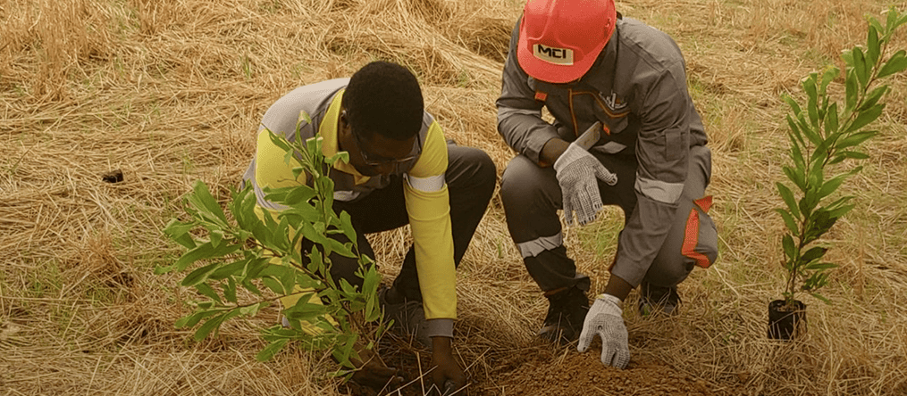 Image illustrant notre engagement ESG
